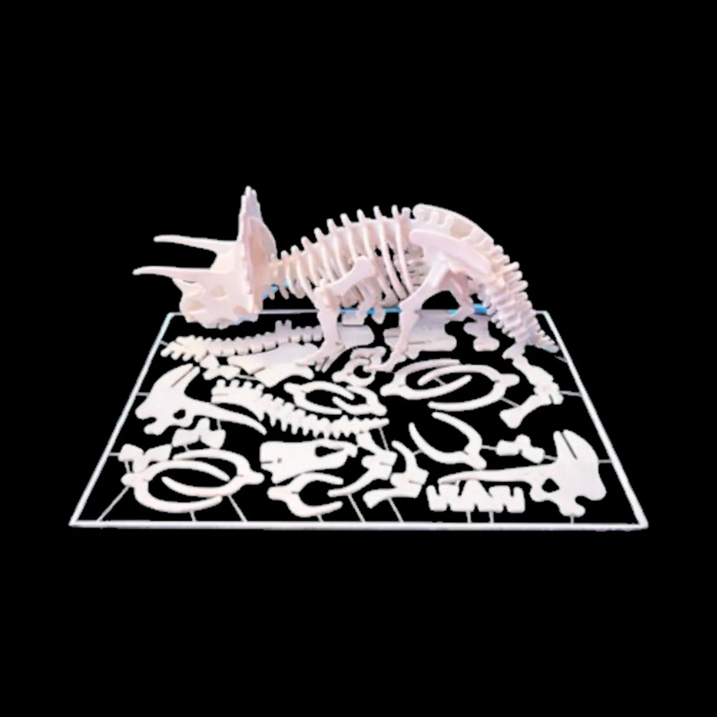 Rompecabezas 3D Dinosaurio Triceratops Juguete Didáctico Esqueleto para Armar