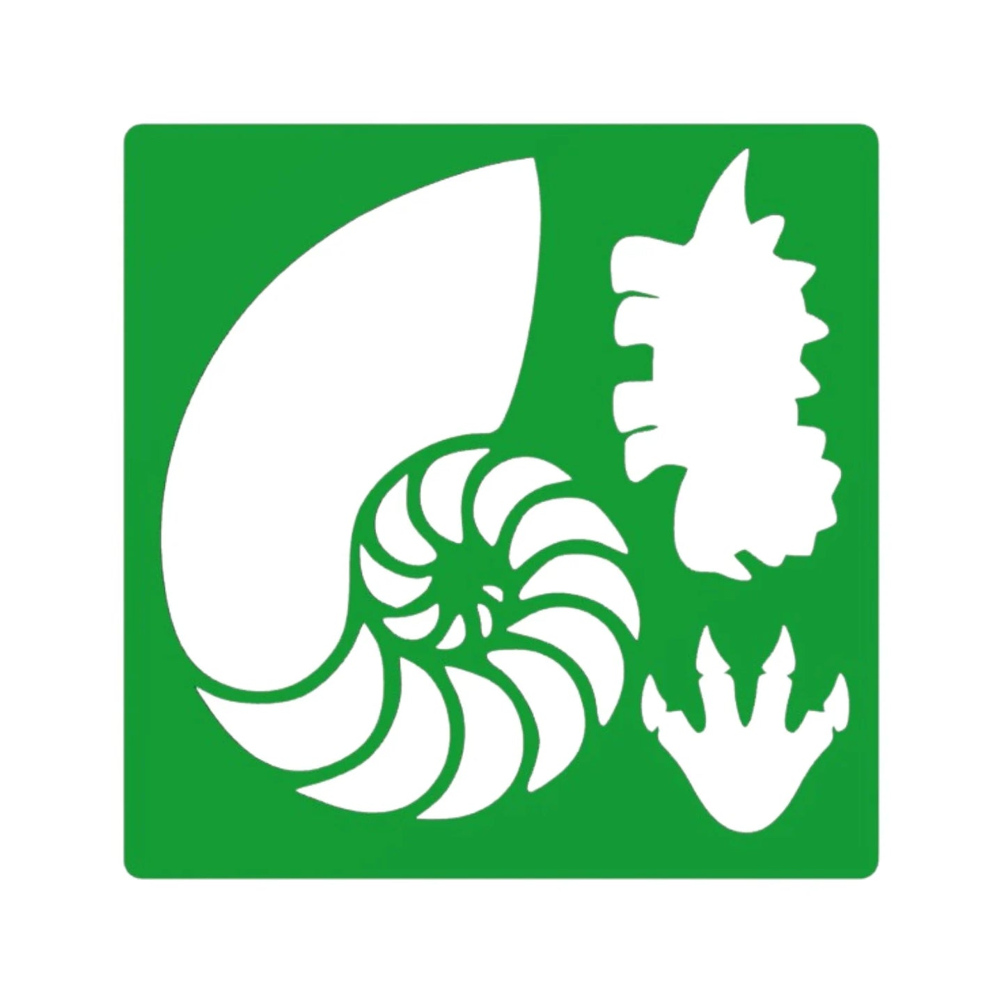 Set de Plantillas para Dibujar Dinosaurios - Stencils Infantiles 3D