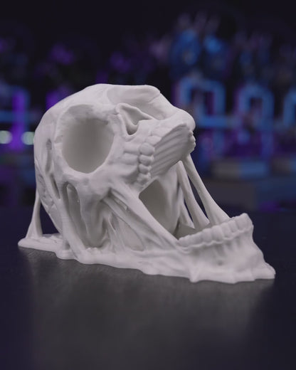 Torre De Dados Calavera Skull Doom Para Juegos De Rol