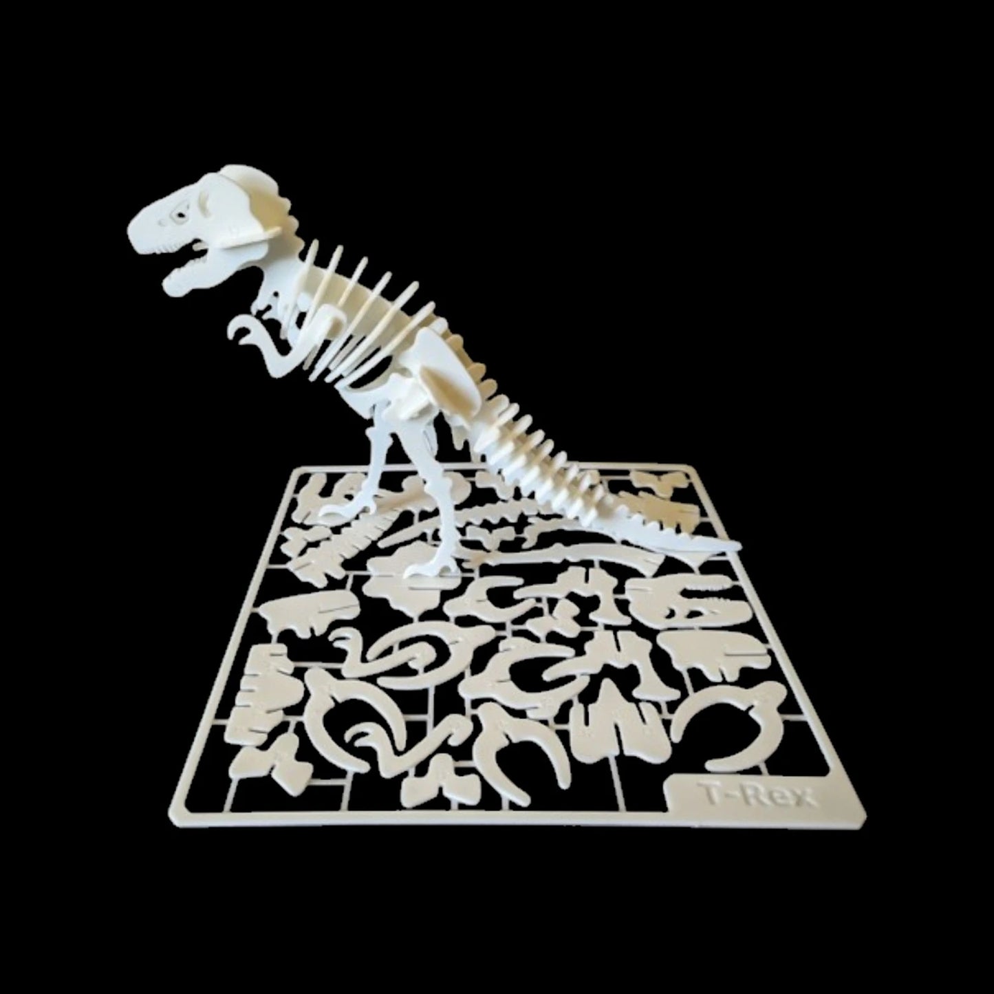 Rompecabezas 3D Dinosaurio T-Rex Juguete Didáctico Esqueleto Para Armar
