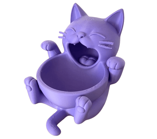 ¡El Gato más Carcajeante de la Casa!